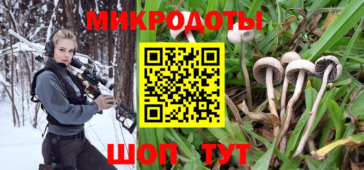 хочу наркоту  Вход с VPN  Дербент  Псилоцибиновые грибы Psilocybe 