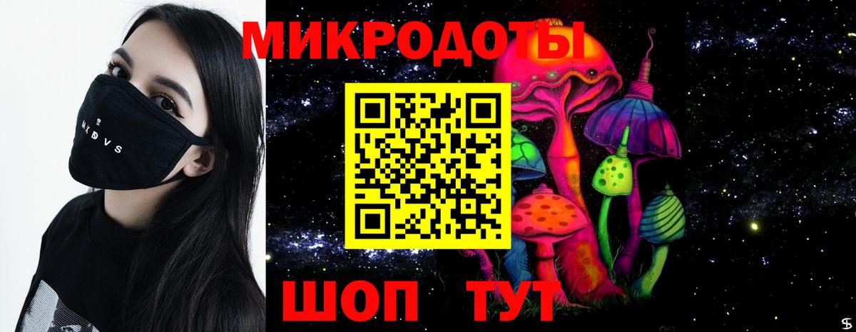 Галлюциногенные грибы Magic Shrooms Дербент