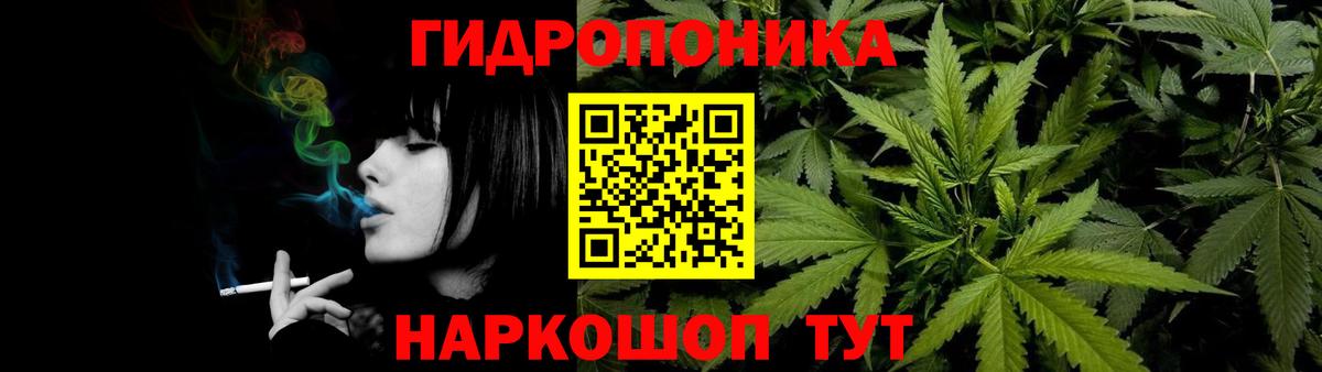 Марихуана сатива Дербент
